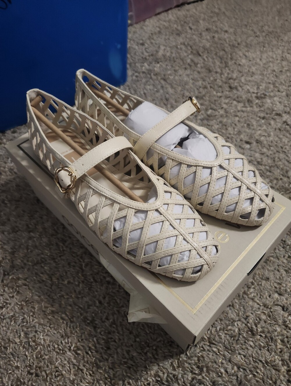 New In Box Dolce Vita Cream Woven Mary Jane Flats Size 9